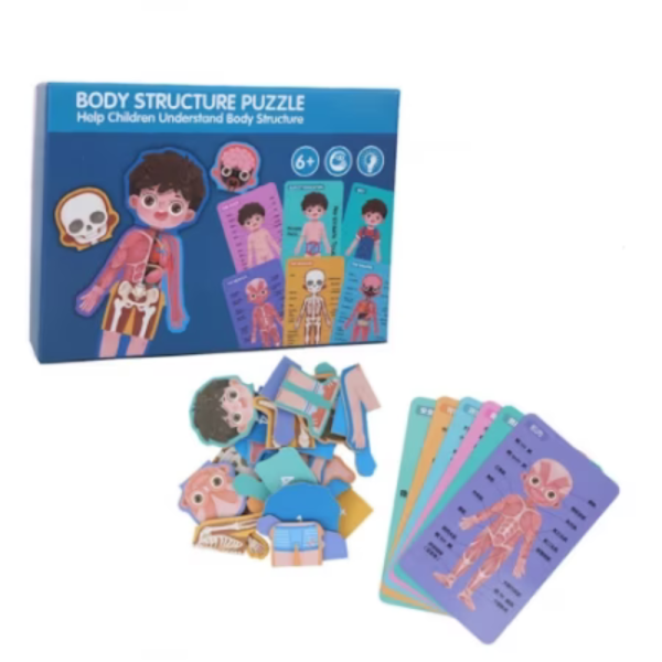 Puzzle educativ din lemn pentru copii, corpul uman baietel si fetita in limba romana, 3+ - imagine 8