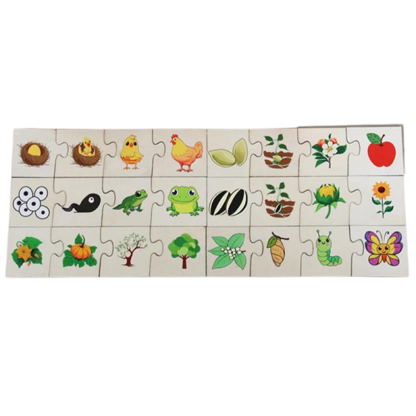 Puzzle educativ de asociere din 4 piese pentru copii, evolutia animalelor, Montessori, 24 piese - imagine 4